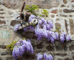 2012-05_Paris_734