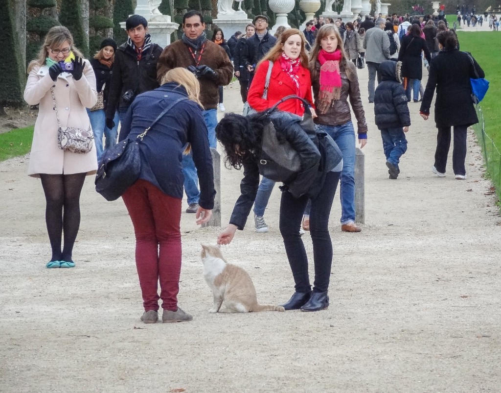 2012-10_ParisByTara_237