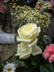 2012-10_ParisByTara_108