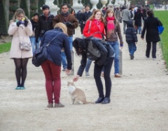 2012-10_ParisByTara_237