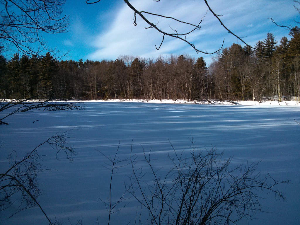 2013-02_Snowshoeing_017