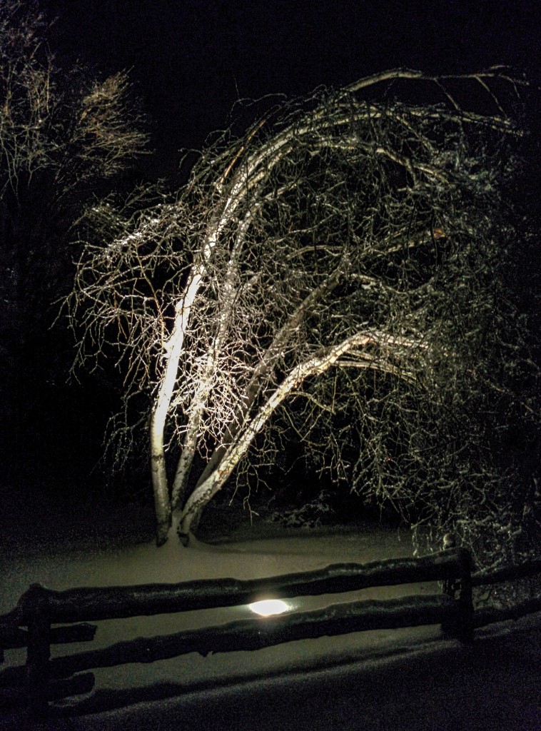 2013-12_ChristmasCigars_011