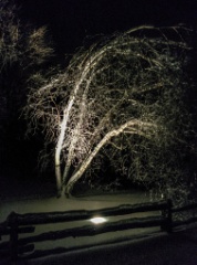 2013-12_ChristmasCigars_011