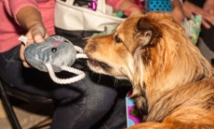 2013-12_Christmas_072