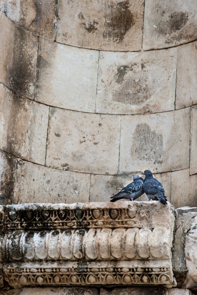 2013-09_Croatia_458
