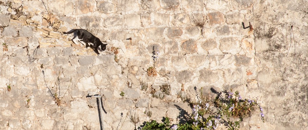 2013-10_Croatia_1385