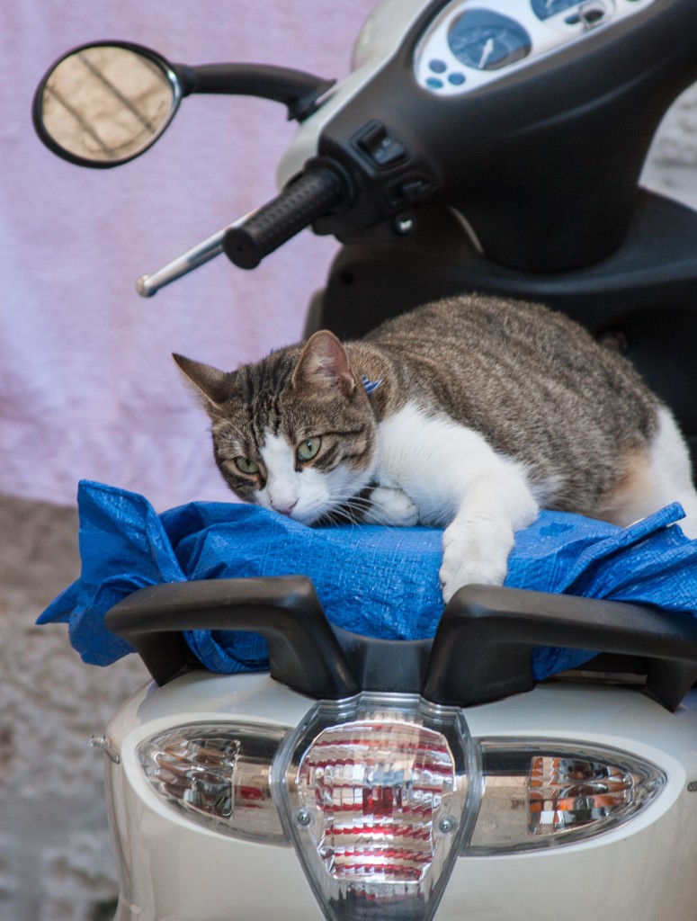 2013-10_Croatia_594