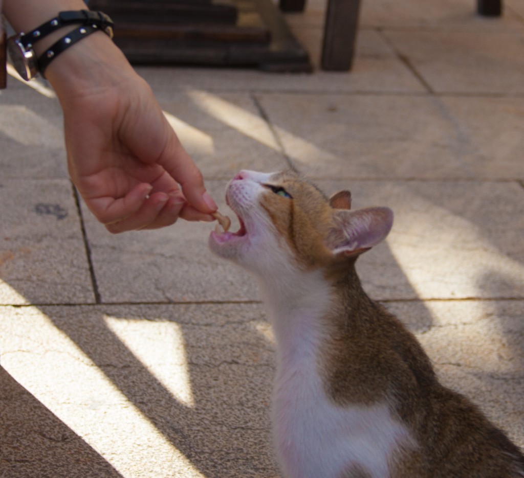 2013-10_Croatia_650