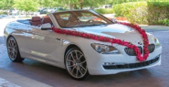 2013-05_YogiWedding_725