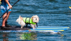2013-08_BriansRegatta_159