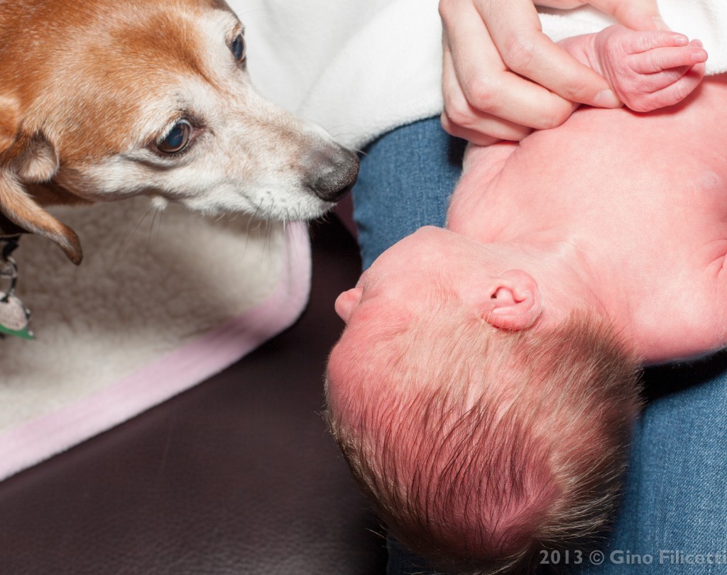 2013-11_EmilyLane_120