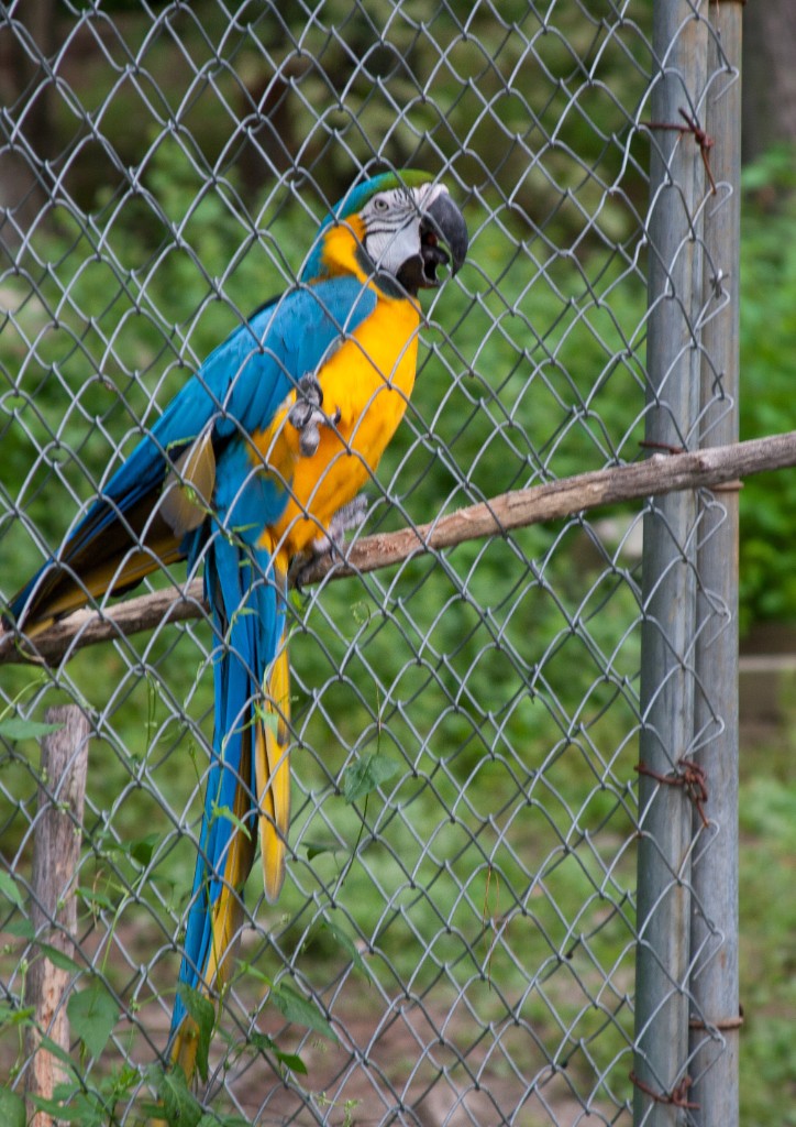 2014-08_DEWSanctuary_043
