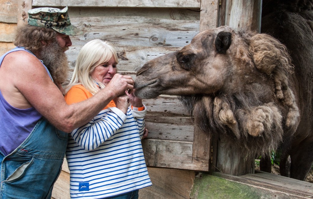 2014-08_DEWSanctuary_157