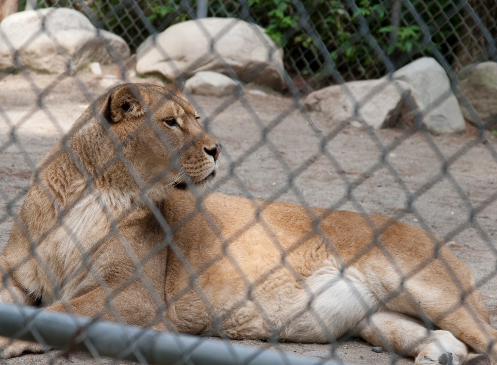 2014-08_DEWSanctuary_290