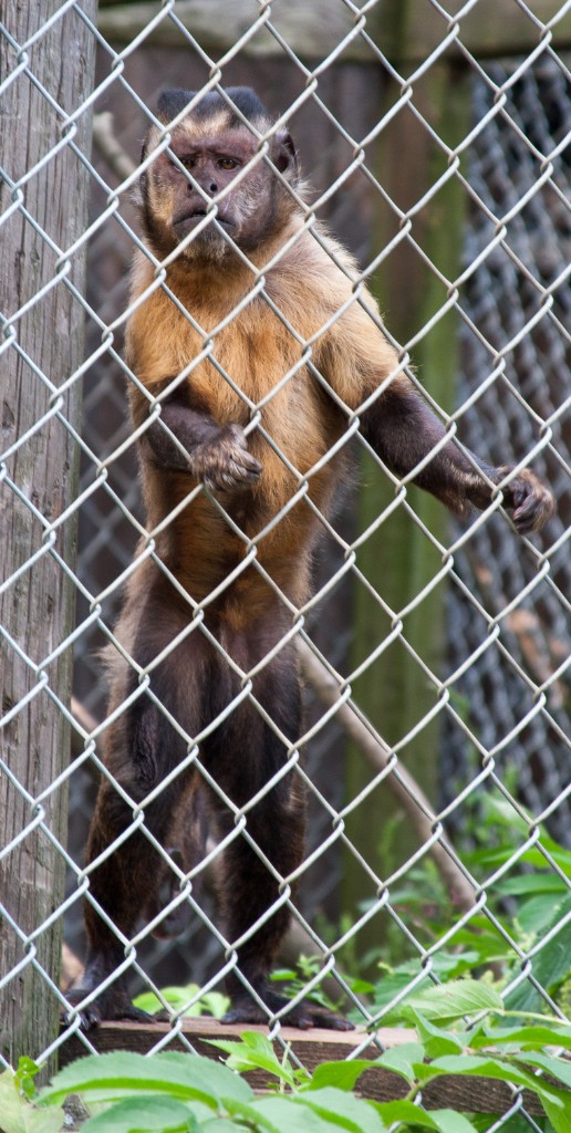 2014-08_DEWSanctuary_355