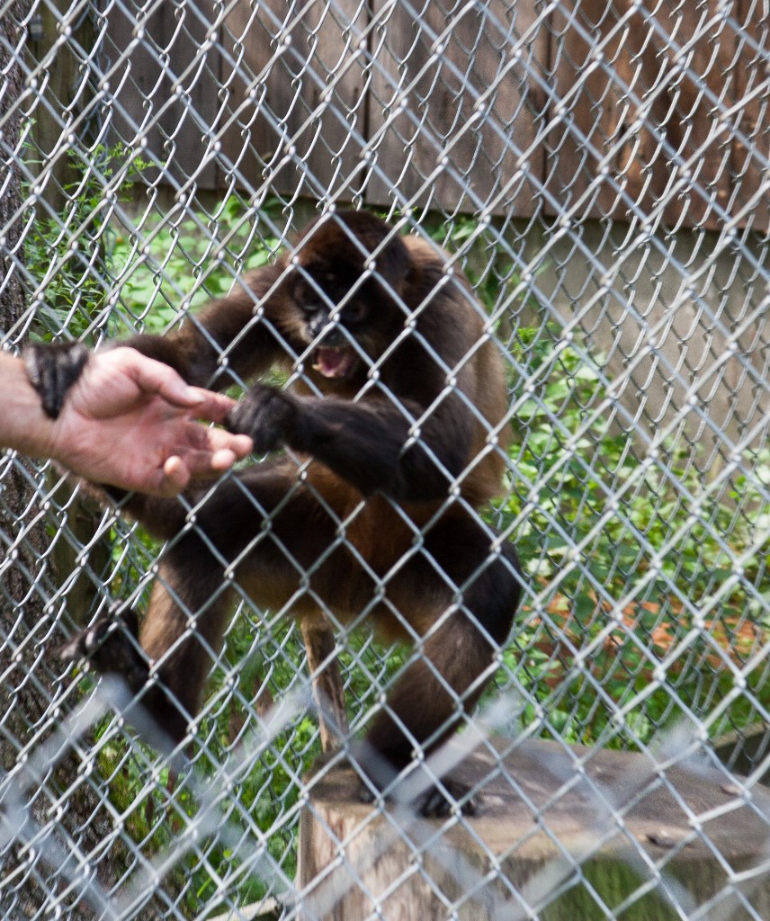 2014-08_DEWSanctuary_358