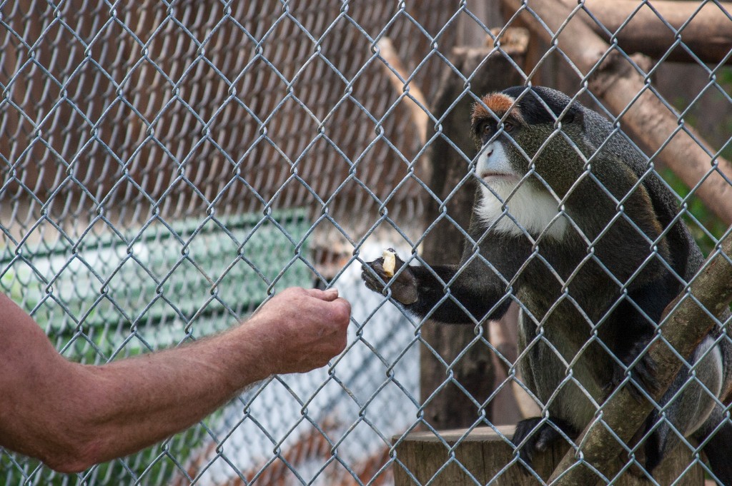 2014-08_DEWSanctuary_377