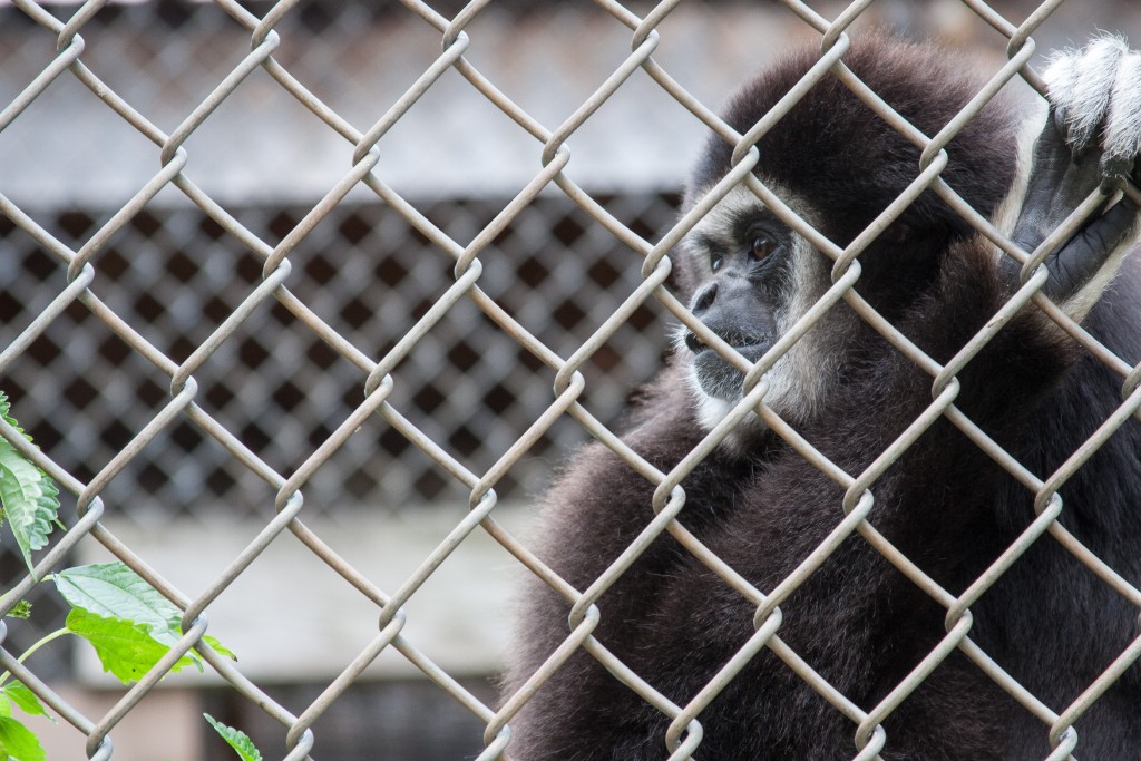 2014-08_DEWSanctuary_449