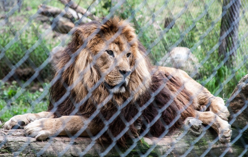 2014-08_DEWSanctuary_456