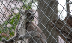 2014-08_DEWSanctuary_040