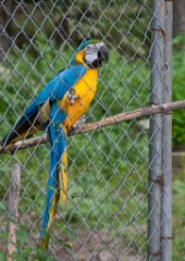 2014-08_DEWSanctuary_043