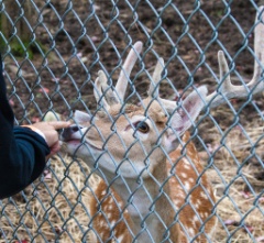 2014-08_DEWSanctuary_064