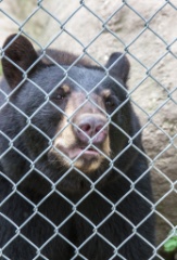 2014-08_DEWSanctuary_078