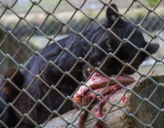 2014-08_DEWSanctuary_222