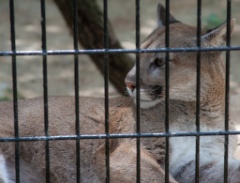 2014-08_DEWSanctuary_262