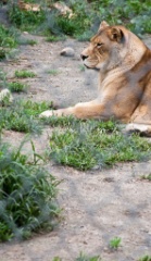 2014-08_DEWSanctuary_325