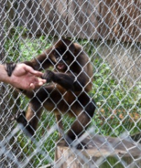 2014-08_DEWSanctuary_358