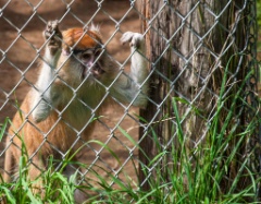 2014-08_DEWSanctuary_400