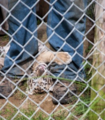 2014-08_DEWSanctuary_419
