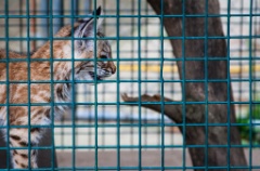 2014-08_DEWSanctuary_440