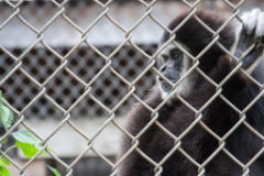 2014-08_DEWSanctuary_449