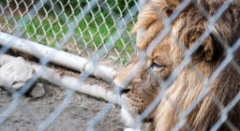 2014-08_DEWSanctuary_471