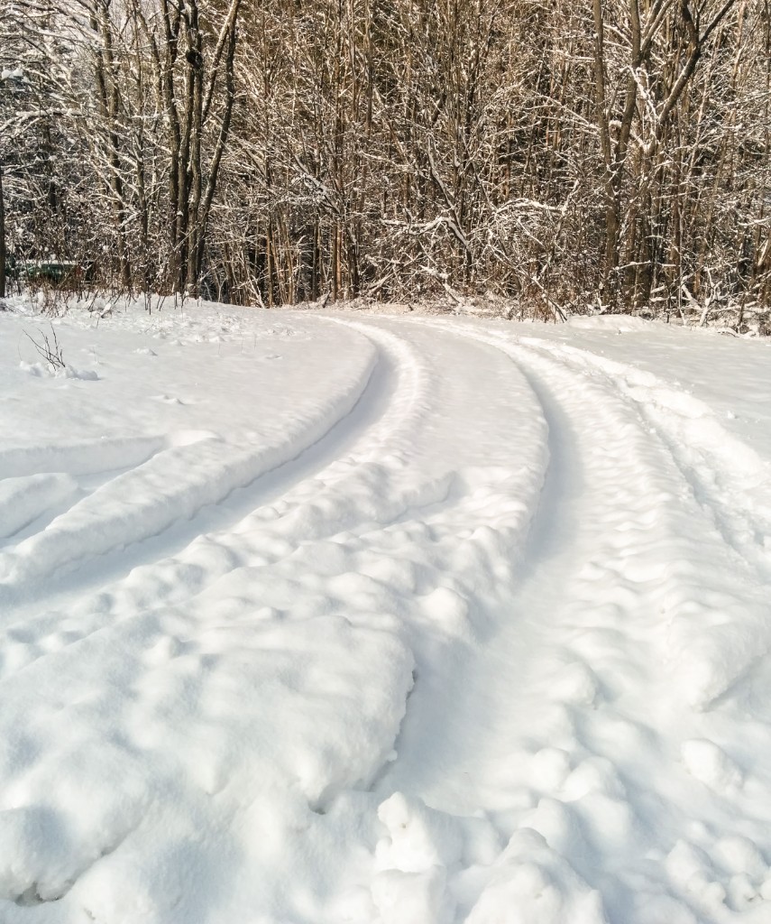 2014-01_Snowshoeing_026