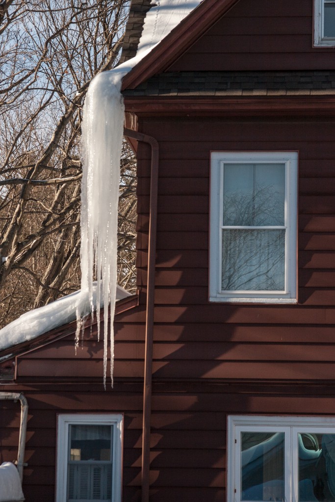 2015-02_WinterSnow_003
