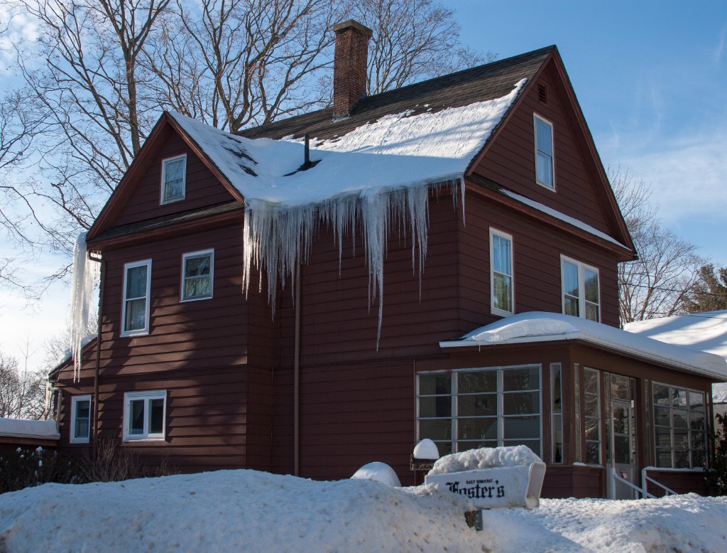 2015-02_WinterSnow_061