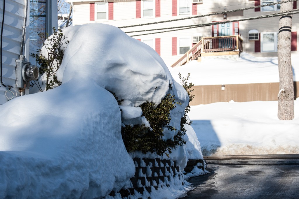 2015-02_WinterSnow_095