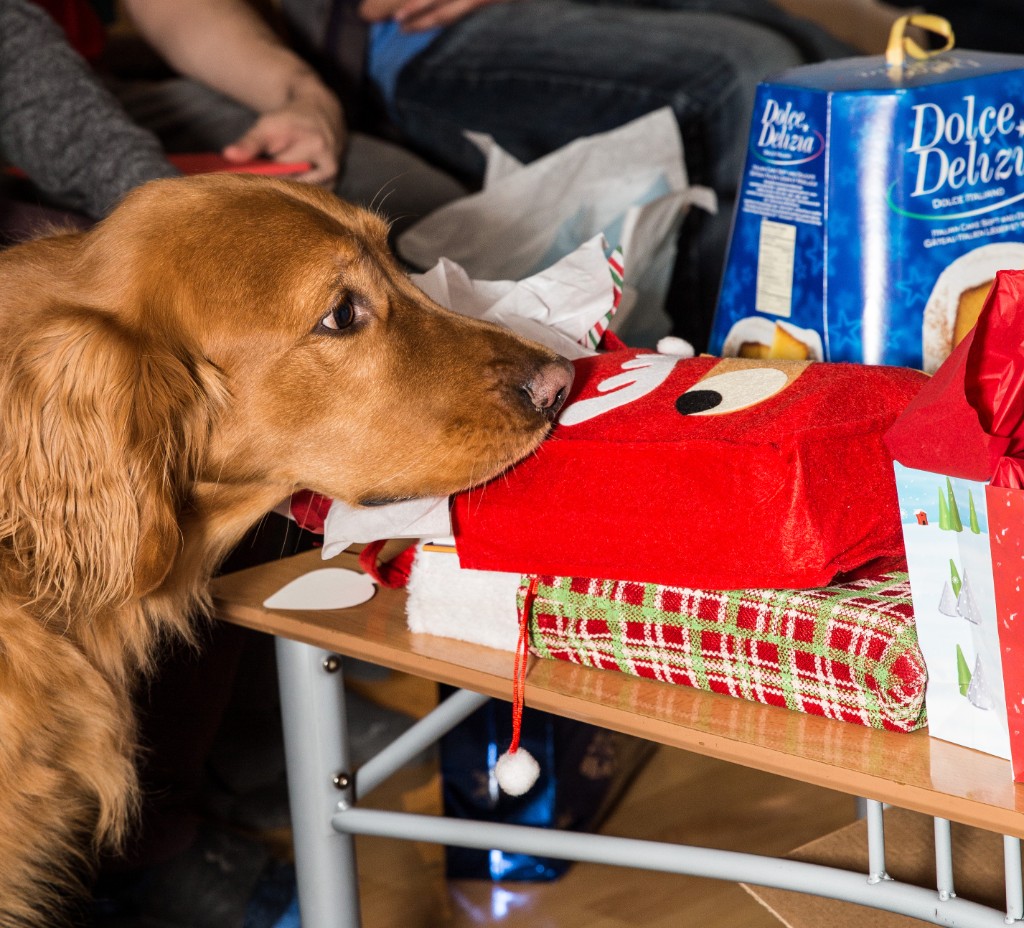 2015-12_Christmas_207