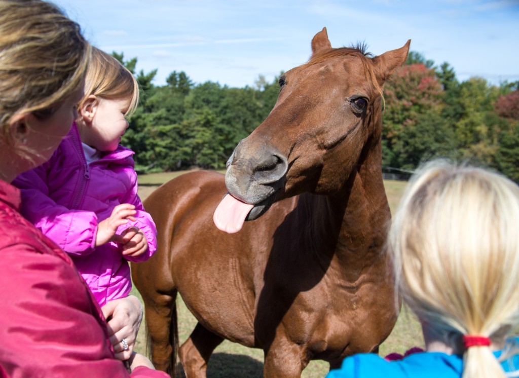 2015-10_EmilyHorseShow_066