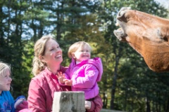 2015-10_EmilyHorseShow_058