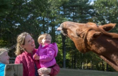 2015-10_EmilyHorseShow_064