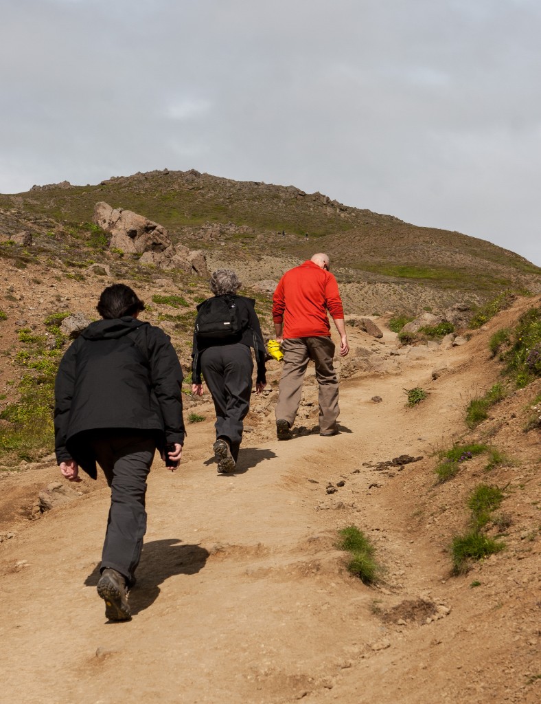 2015-08_Iceland_028