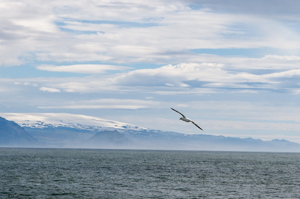 2015-08_Iceland_1106
