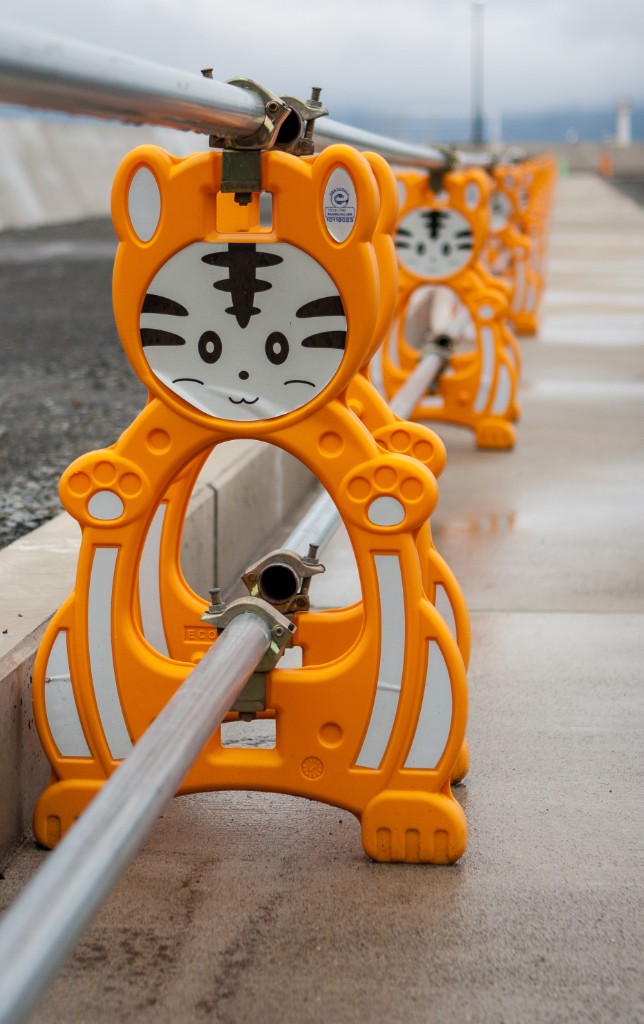 2015-04_Japan_1117