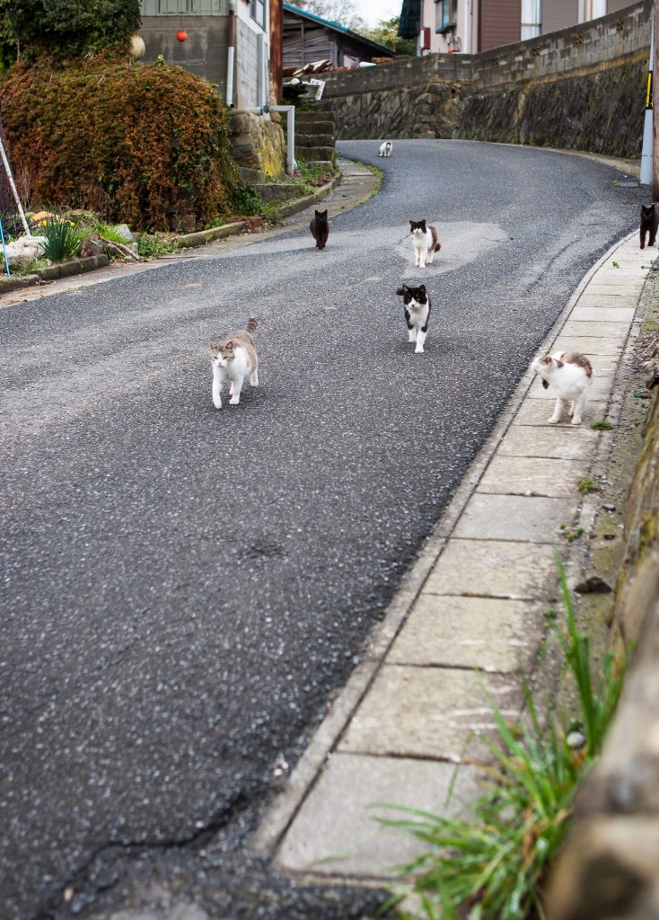 2015-04_Japan_1193