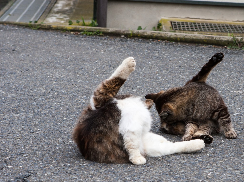 2015-04_Japan_1289
