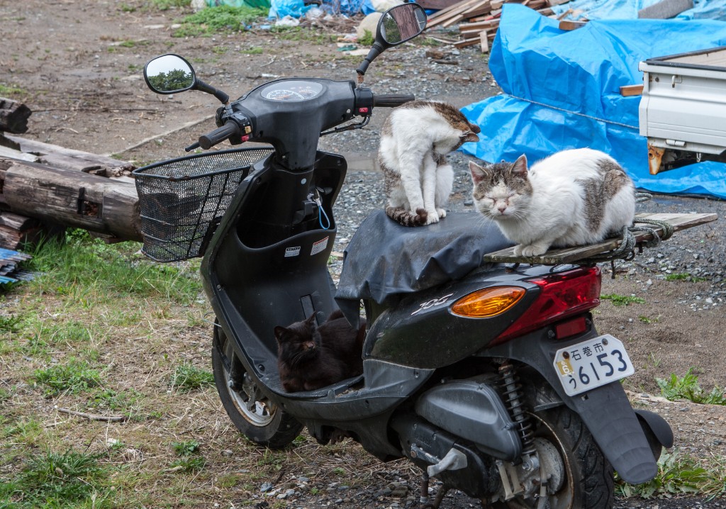 2015-04_Japan_1309